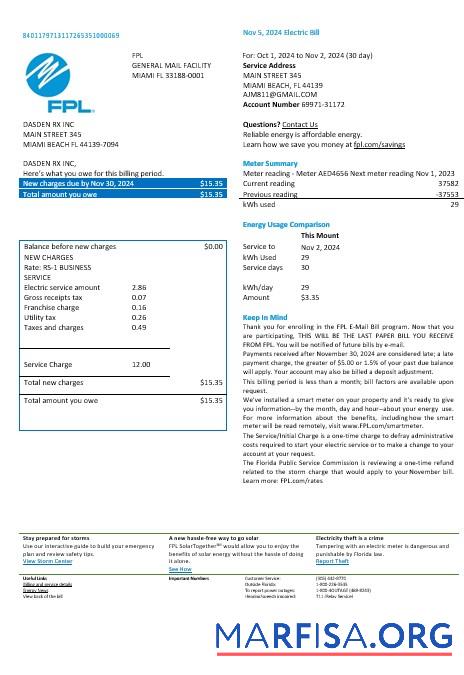 Printable USA Florida FPL electricity business utility bill Word and PDF formats, version 2 real example